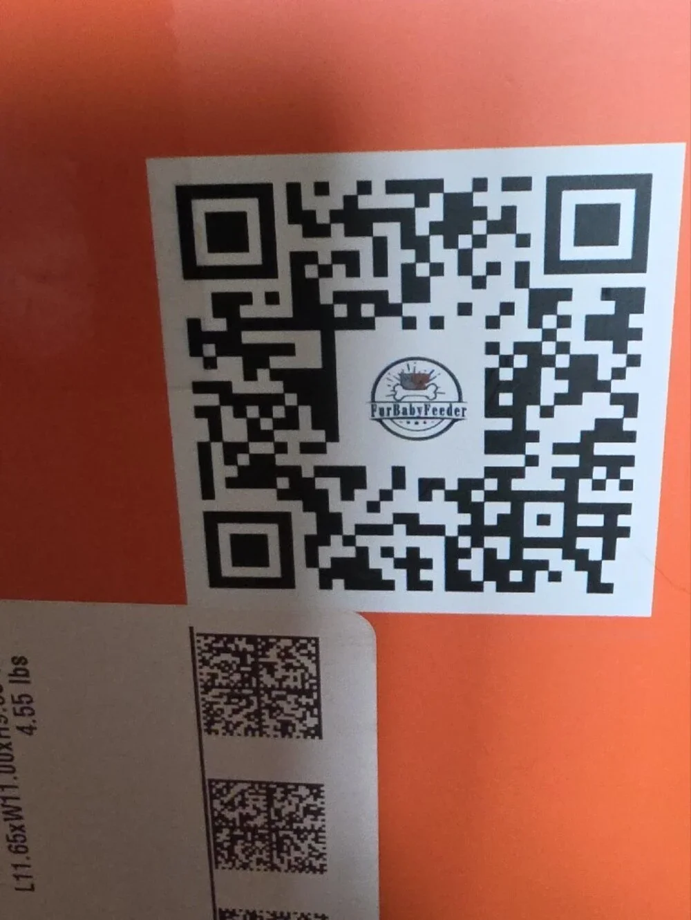 Orange Automatic Smart RFID Microchip Cat Feeder